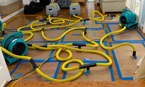 Professional Storm Water Damage Restoration technician working in Pinewood, SC